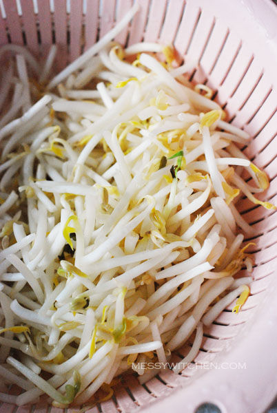 can dog eat bean sprouts