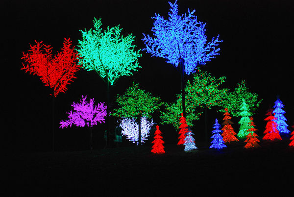 Lights Wonderland I City Shah Alam Che Cheh