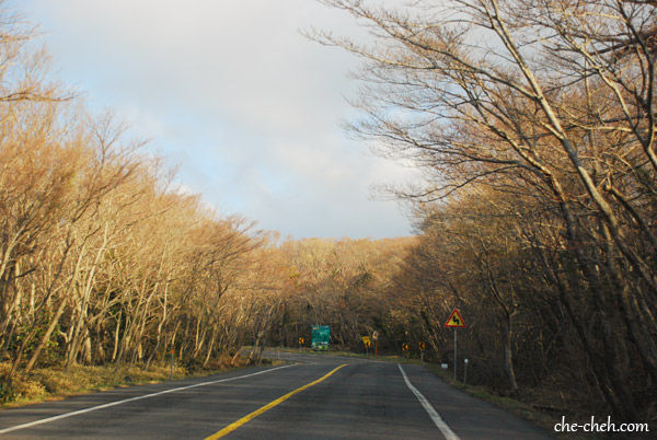 Jeju-do Self Drive Day 2: Yeongsil Trail at Hallasan National Park ...